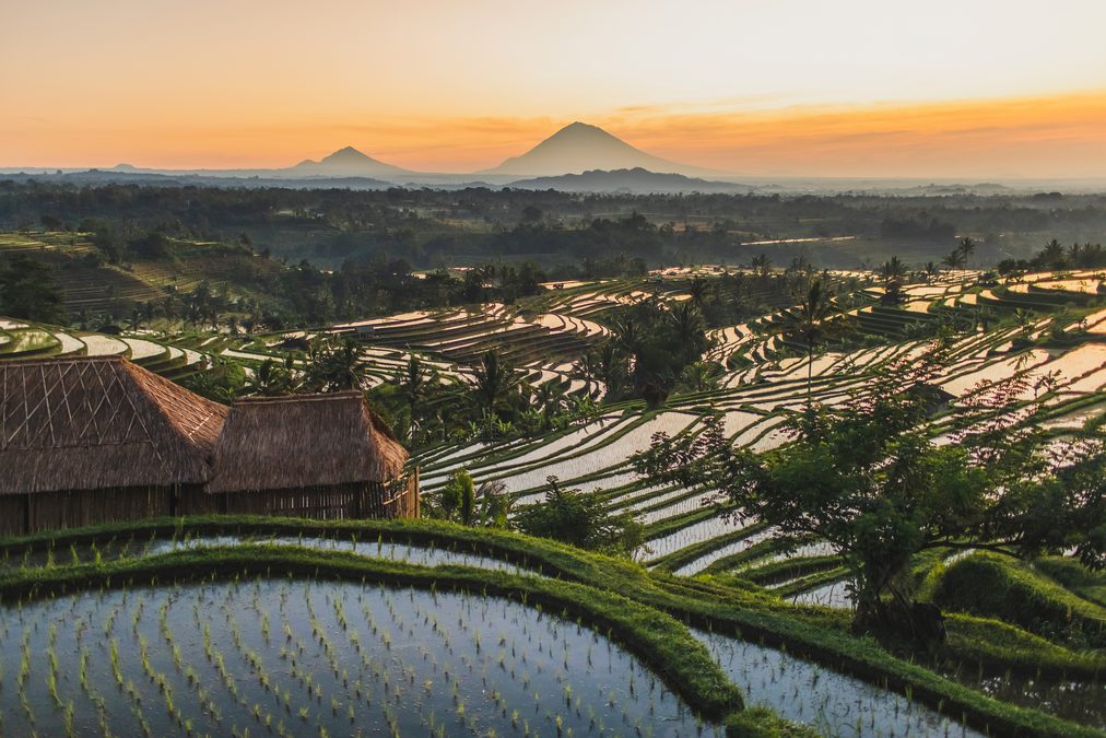 Australier auf Bali